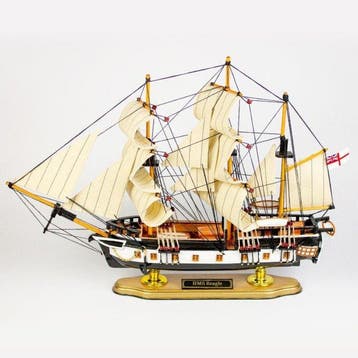 HMS Beagle - 46cm - Modelschip