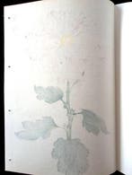 From the series One Hundred Chrysanthemums - Keika