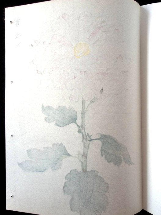 From the series One Hundred Chrysanthemums - Keika, Antiquités & Art, Antiquités | Autres Antiquités