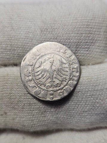 Polen, Koninkrijk van. - 1/2 Crown Groschen - XVI Century