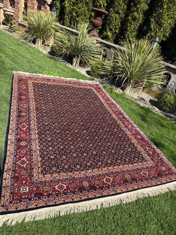 Indo Bidjar tapijt - Tapijt - 315 cm - 205 cm, Nieuw