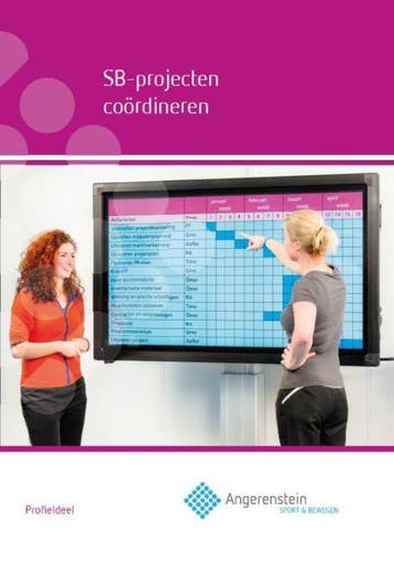 SB projecten coordineren / Angerenstein SB 9789037227666, Verzenden, Bert en