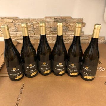 2025 Pfitscher, Sauvignon Blanc Saxum - Alto Adige DOC - 6, Collections