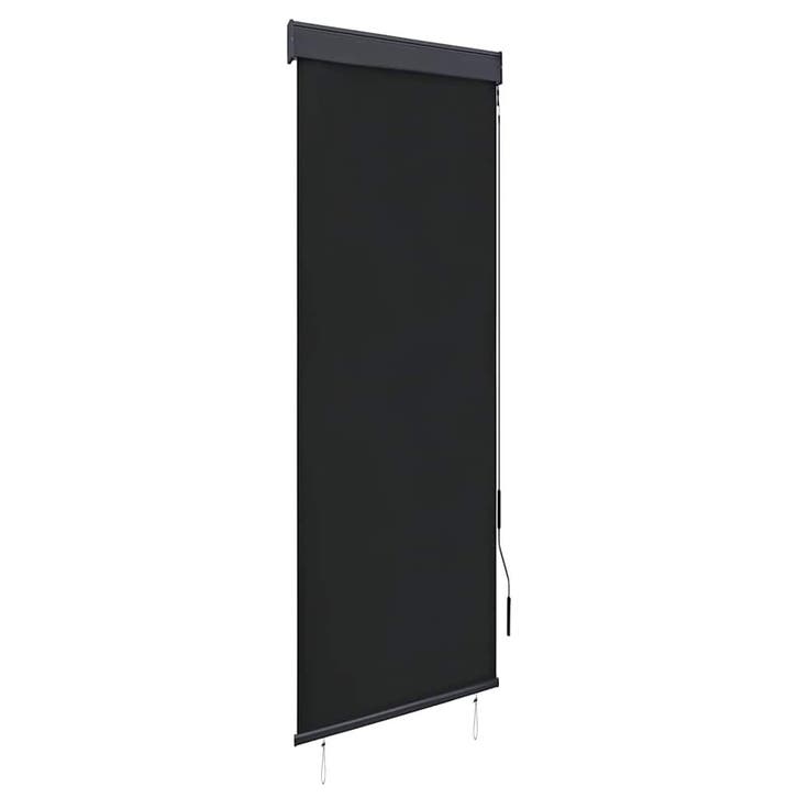vidaXL Rolgordijn voor buiten 60x250 cm antraciet, Huis en Inrichting, Stoffering | Gordijnen en Lamellen, Nieuw, Verzenden