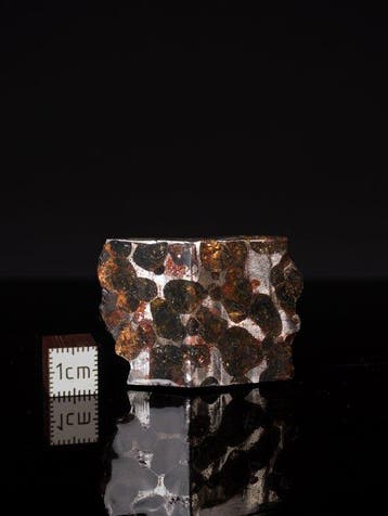 Météorite de Sericho Pallasites - 21 g - (1)