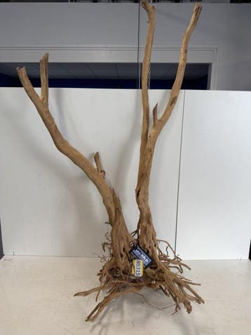 Boutique Stump Selected BS315 - 51x49x120cm, Ophalen of Verzenden, Plant(en), Steen of Hout