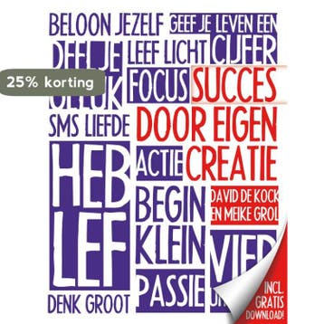 Succes door eigen creatie 9789000302970 Meike Grol, Verzenden, Meike Grol