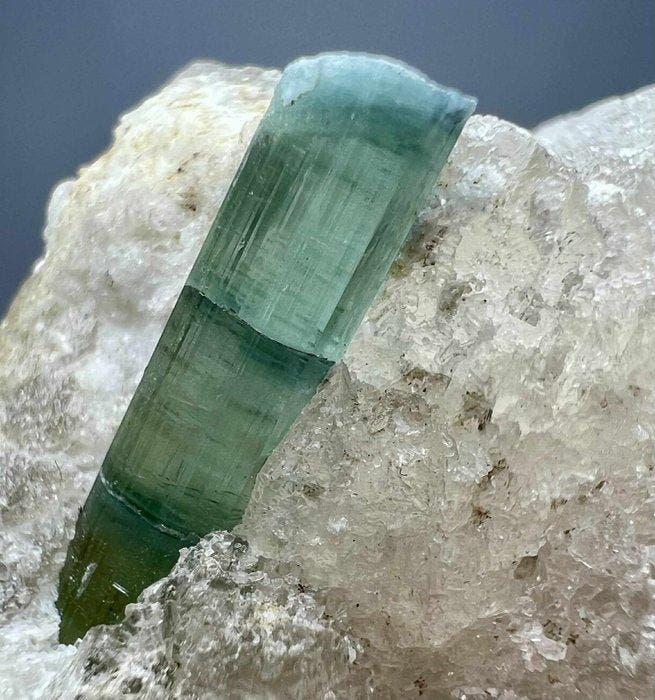 Tourmaline) Kristallen op matrix - Hoogte: 51 mm - Breedte:, Collections, Minéraux & Fossiles