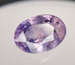 1 pcs Violet Saffier - 6.21 ct - Guild Gem Laboratory -, Nieuw