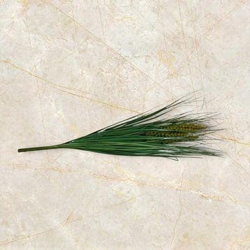 Grasbundel met Pluimen 65 cm, Nieuw