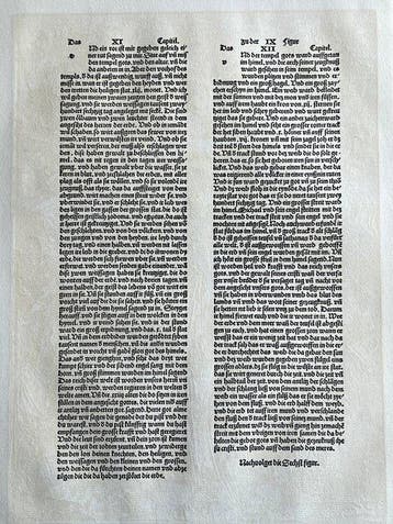 Albrecht Dürer (1471-1528), after - Apocalypsis cum Figuris