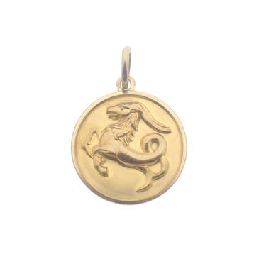 Gouden sterrenbeeld hanger; Steenbok. (Hanger of bedel), Ophalen of Verzenden, Gebruikt, Goud, Overige merken