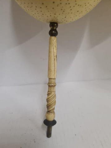 Struisvogel Ei - Paire d’œufs d’autruche Napoléon III - 36