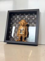Rob VanMore - Ape LV in charge