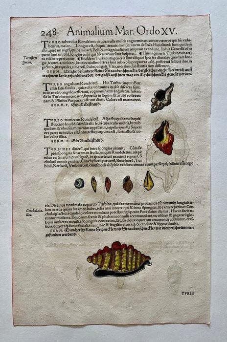 Conrad Gesner - Icones animalium quadrupedum uiuiparorum et, Antiek en Kunst, Antiek | Boeken en Manuscripten