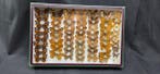 Paléarctique butterflies ex French Mr Amédro Collection