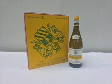 2x (24x) fles(sen) Terre die Sampaolo 75, Verzamelen, Wijnen, Nieuw