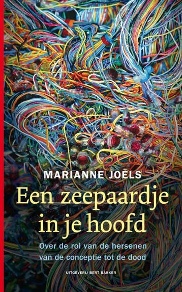 Een zeepaardje in je hoofd 9789035133600 M. Joëls, Verzenden, M. Joëls