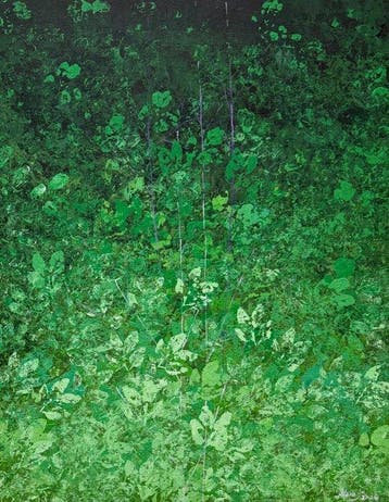 Mara. J XL - Emerald Understory
