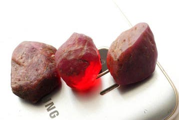 Robijn 207 karaat ruwe robijnkristallen, onbehandeld- 41.5 g