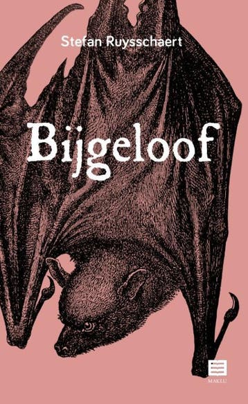 Bijgeloof 9789046611043 Stefan Ruysschaert, Verzenden, Stefan Ruysschaert