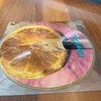 Timoria - 2020 SpeedBall - Electronic, Rock: Pop Rock -, Nieuw in verpakking