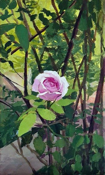 Della Goinne - Wild Rose II - Wild Anatomy Series