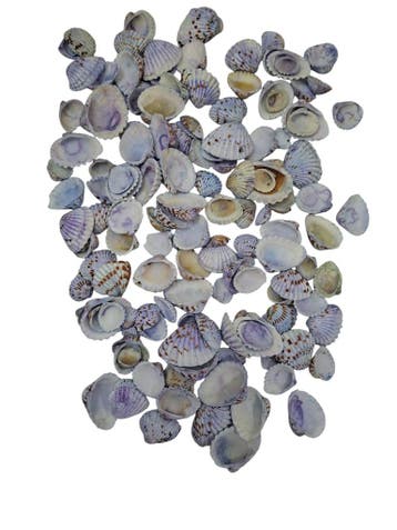 Tiger Chippy Schelpen Blauw 500 gram