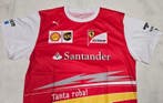 Ferrari - Formule 1 - Fernando Alonso - 2014 - Teamkleding