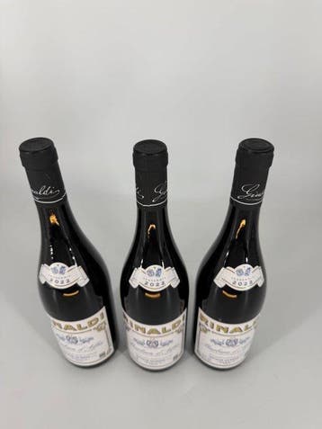 2022 Rinaldi Giuseppe, Barbera dAlba - Piëmont, Langhe - 3, Verzamelen, Nieuw