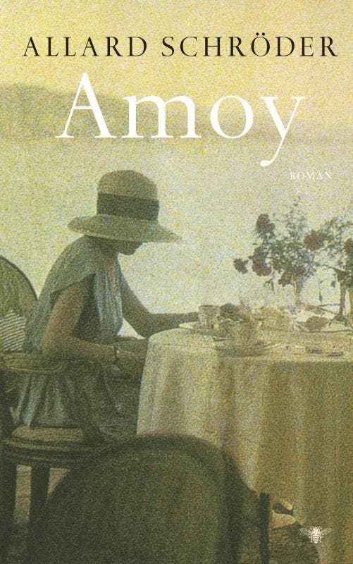 Amoy 9789023429968 Allard Schroder, Boeken, Romans, Zo goed als nieuw, Verzenden