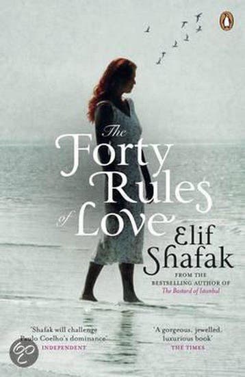 The Forty Rules of Love 9780141047188 Elif Shafak, Verzenden, Gelezen, Elif Shafak