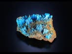 Chalcanthite naturelle bleu électrique fibreuse Cristaux -