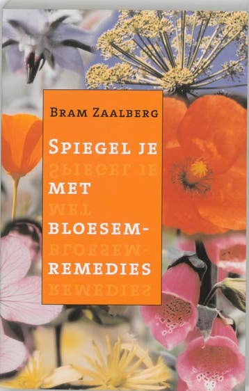 Spiegel je met bloesemremedies 9789020243697 B. Zaalberg, Verzenden, Zo goed als nieuw, B. Zaalberg