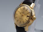 Omega - Genève - Zonder minimumprijs - Cal.684 Ref.566.002 -