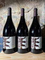 2017 Il Refosco dal Peduncolo Rosso CaTullio -, Verzamelen, Nieuw