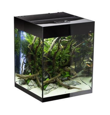 Osaka Glossy aquarium 50 Cube D&N (Osaka Cubes), Ophalen of Verzenden, Leeg aquarium