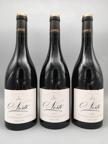 2015 Bodegas y Viñedos Pujanza Norte - Rioja DOCa - 3, Nieuw