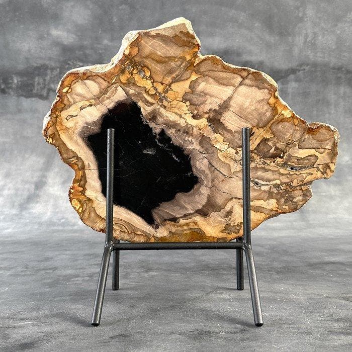 Belle tranche de bois pétrifié sur un support personnalisé -, Antiek en Kunst, Kunst | Designobjecten