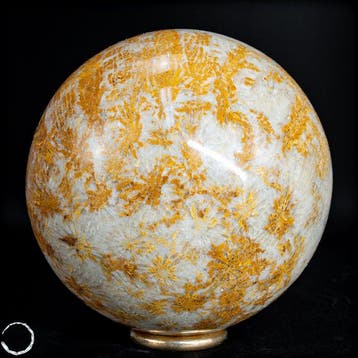 Extreem zeldzaam natuurlijk fossiel koraalbol, Australië-, Antiek en Kunst