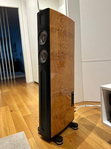 Raidho - Acoustics X2t 2,5-weg vloerstaande luidsprekers, Nieuw