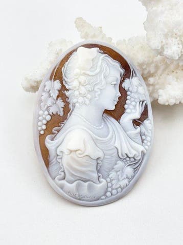 CASSIS MADAGASCARIENSIS - Cameo - Handgegraveerde camee