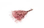 Geprepareerd Gepreserveerd Gipskruid Berry Roze 60 cm 55 gr, Nieuw