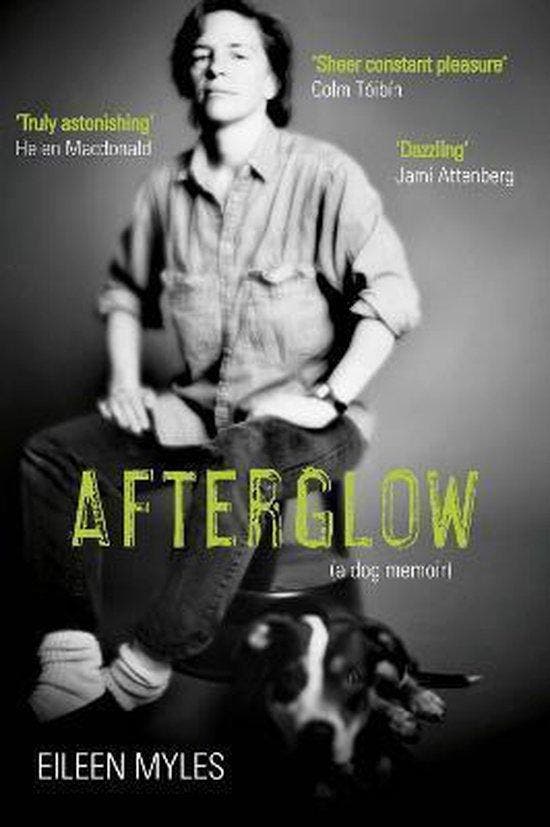 Afterglow 9781611855142 Eileen Myles, Boeken, Taal | Engels, Zo goed als nieuw, Verzenden