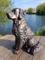 Beeld, garden statue in bronze color of a Golden Retriever -