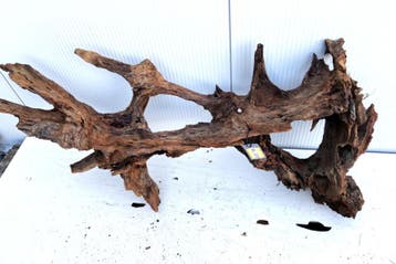 Osaka XL222 uniek aquarium decoratie hout  150x60x35 cm, Ophalen of Verzenden, Plant(en), Steen of Hout