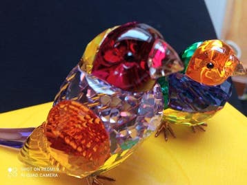 Swarovski - Beeldje - SCS - 2024 - Idyllia Gouldian Finch -