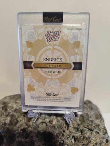 Wild Card Wild Card Jokers Wild Endrick Enige, Nieuw