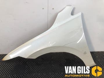 Scherm links-voor Volkswagen Golf O332241, Nieuw