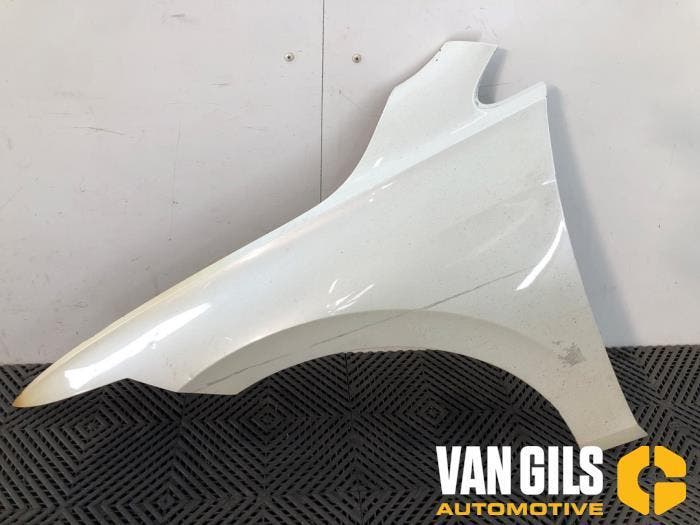 Scherm links-voor Volkswagen Golf O332241, Auto-onderdelen, Carrosserie